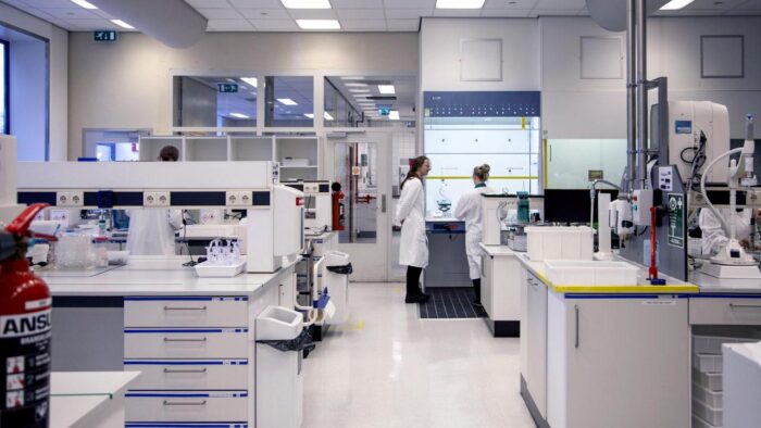 Talentmark Case Study Msd Haarlem